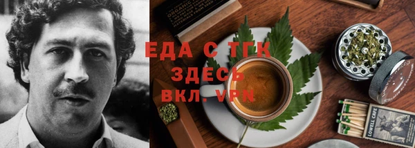 тгк Алзамай